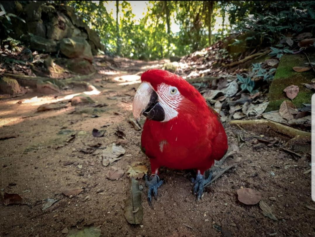 Recanto Da Gipoia Angra dos Reis Bagian luar foto