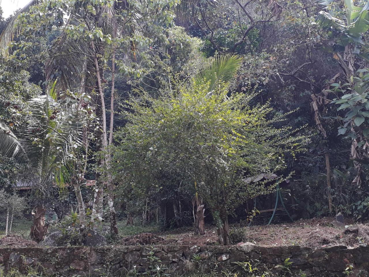 Recanto Da Gipoia Angra dos Reis Bagian luar foto